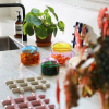 &KLEVERING Es una marca de Ámsterdam con decoración para el hogar colorida y divertida