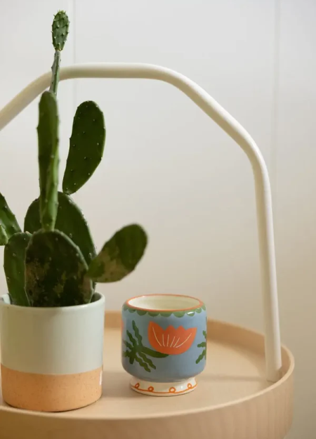 PADDYWAX marca de velas artesanales pensadas para contar historias a través del aroma y el diseño.