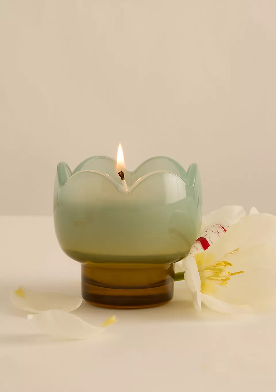 PADDYWAX marca de velas artesanales pensadas para contar historias a través del aroma y el diseño.