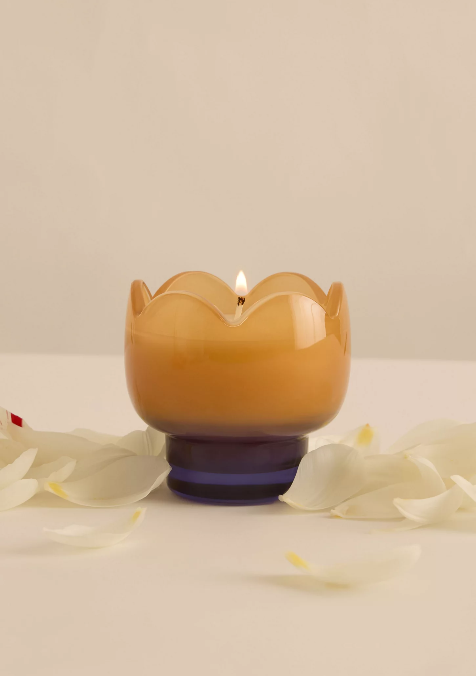 PADDYWAX marca de velas artesanales pensadas para contar historias a través del aroma y el diseño.