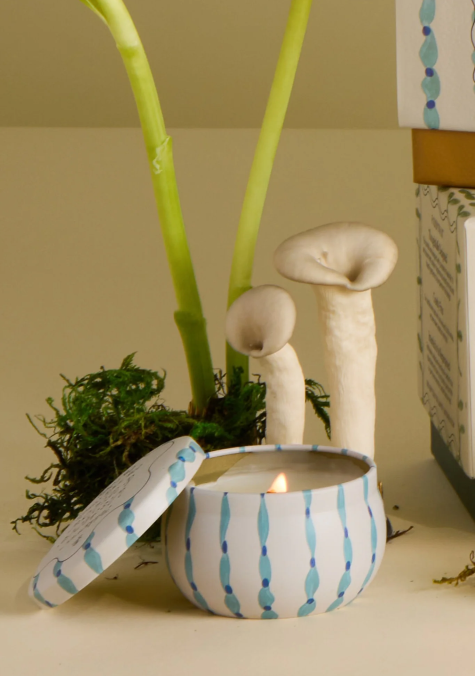 PADDYWAX marca de velas artesanales pensadas para contar historias a través del aroma y el diseño.